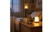 Black Outline Hen Holding Egg-Shaped Light Multicolored Stained Glass Hen Lamp Translucent Chicken Egg-Shaped Lamp Decorative
