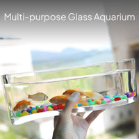 Rectangular Glass Fish Tank, Thickened Desktop Enclosure