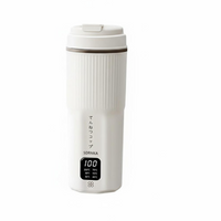 316 stainless steel travel kettle