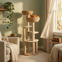 Multi-Level Cat Sisal-Wrapped Posts-Wrapped Soft Cat Climbing Structure Clear Round Inset Scratching Surface Structure