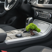 Lucky Tree Car Dashboard Ornament Miniature Landscape Decor