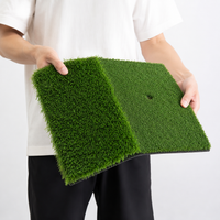 Golf Practice Mat, 2-Way (Allows Tee Insertion), Approach, Home, Indoor & Outdoor Compatible, Foldable, Artificial Grass