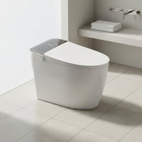 Single Piece Smart Toilet Sterilization Voice Control Toilet Night Light Built-in Reservoir