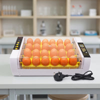 See-Through Electric Egg Incubator Corded Egg Incubator with Transparent Lid Temperature Control Compact for Hobbyists, Classroom