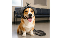 Canine Ear Muffs Secure Fit Adjustable Dog Earmuff Soft Padded Canine Ear Muff for Salon