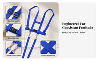 Harness Tether Set Metal Fasteners Plastic Buckles Child Gear Woven Strapping
