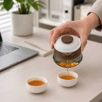 Portable Travel Tea Set for Tea Lovers, Borosilicate Glass Teapot with 2 Cups, Compact Tea Set for On-the-Go, Office & Camping