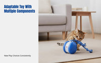 Pet Toy Ball, Durable Chew Toy with Rope, Interactive Bouncing Ball for Cats and Dogs, Random Color
