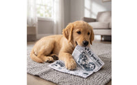 Newspaper Dog Toy Interactive Fake Newspaper Dog Toy Pet-Safe Non for Dogs, Indoor Play