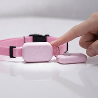 Woven Collar with Tracker Comfortable Smarttag Pet Collar Long-Lasting Bluetooth Pet Tracker Sturdy for Leashunrestricted Play