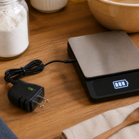 6V 500mA Universal Charger for Electronic Scales and Desk Scales