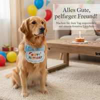 Pet Birthday Bandana and Hat Set for Cats and Dogs