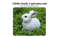 Hare Statue Weather-Resistant Resin Hare Figurine Detailed Craftsmanship Lifelike Bunny Statue for Garden, Patio, Balcony