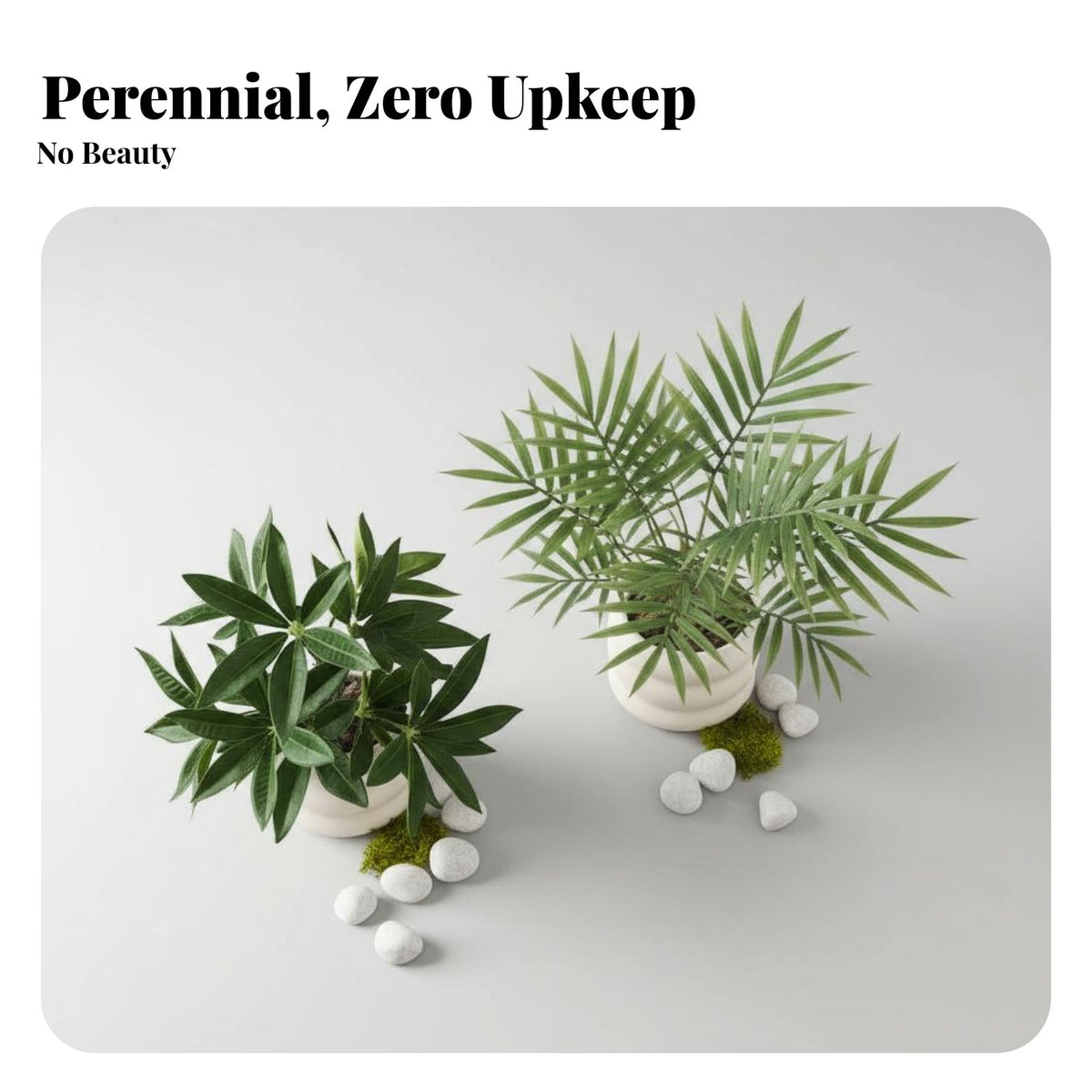 Low Maintenance Small Faux Potted Plant No Watering Needed Potted Simulated Plant Never Wilts Fake Greenery Realistic Appearance for Gardening Beginners, Busy Individuals, Living Room, Coffee Table, Bedroom, Bookshelf