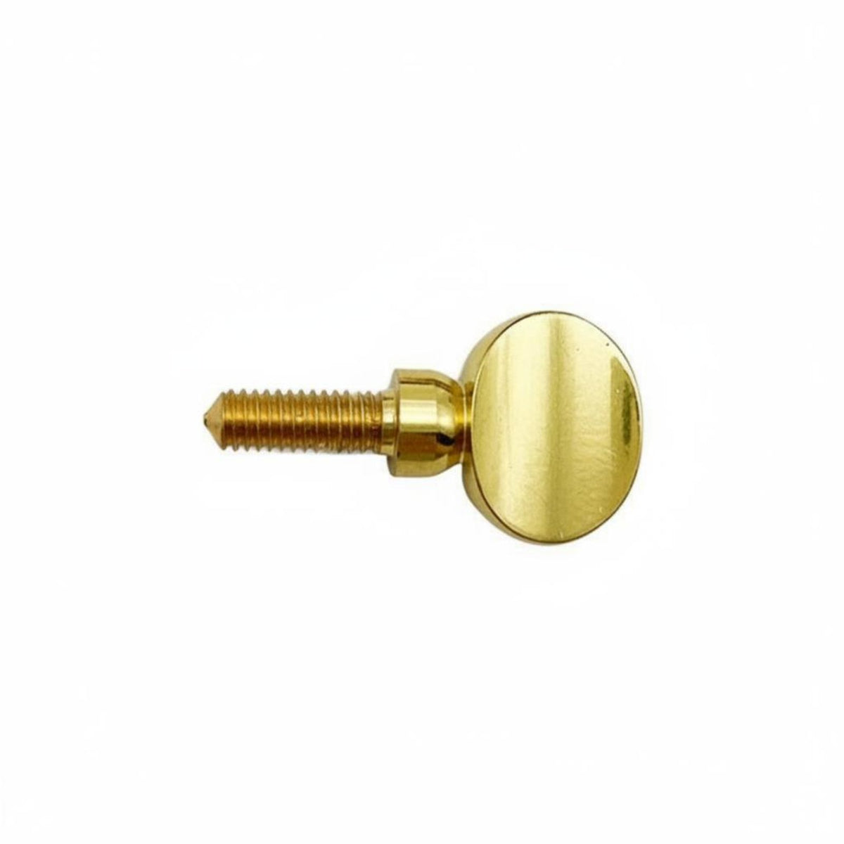 On-the-Gold-Coatinged Finish Saxophone Neck Screw Replacement Part Sax Neck Screw Easy Installation Instrument Hardware Universal Compatibility for Saxophonists, Musicians, Music Students, Live Performance, Rehearsal, Recording Studio