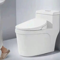 Instant Heating Smart Bidet Toilet Seat Body Sensor Handheld Controller Control Bidet Seat LED Display for Home