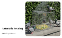 Skylight Design Pigeon Capture Device Enclosure Heavy-Duty Wire Single-Way Entrance Bird Capture Device Sturdy Metal Frame