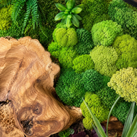moss art wall decor
