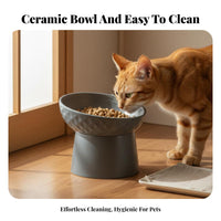 Ergonomic Elevated Ceramic Cat Bowl Stable Base Elevated Cat Bowl Easy to Clean for Kitten Owners, Feeding Station, Kitchen, Living Room