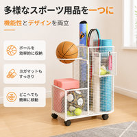 sports ball storage rack