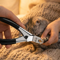 Nail Clippers with a Built-in Nail File for Dog Grooming, Professional Dog Nail Scissors with a Guard Avoid Over Cutting, Non Slip Handle Set