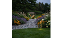 Solar Watering Can Light Automatic activation/off Hummingbird Garden Lamp Easy to Install Outdoor Decor for Yard