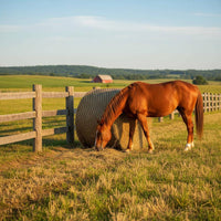 Long-Lasting Large Hay Net Bag Easy to Fill Horse Hay Feeder Net Abrasion Resistant Farm Supply Treated for Stable, Barn
