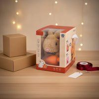 Stuffed Bunny with Carrot Giftable Stuffed Rabbit with Box Stuffed Rabbit Soft Stuffed Bunny Soft for Toddlers, Birthday Gifts