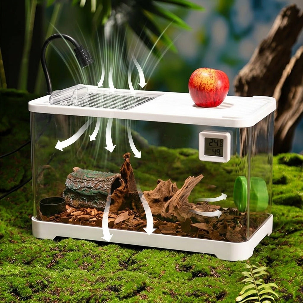 Small Reptile Tank and Terrarium Kit with Sliding Door, Includes Reptile Hide and Light, 24.8x19.6x18.4cm Desktop Starter Habitat