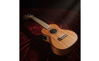 Preamp 24 Inch Ukulele Pickup System Tone Controls Ukulele Built-in Tuner String Instrument Polished Fretboard for Beginners, Students, Performance, Practice