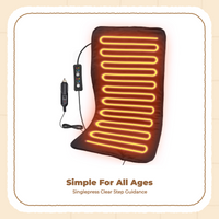 Car Electric Blanket, 12V Portable, Winter Travel