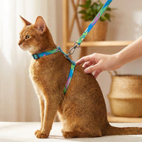 Adjustable Cat Harness and Leash Set, Escape Proof Nylon Vest Harness for Cats, H-Style Kitten Outdoor Gear, No Pull Small Pet Walking Supplies