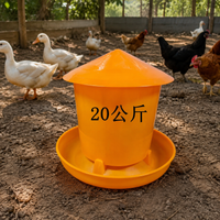 poultry feeder