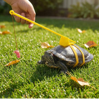Tortoise Harness and Leash Support Bracket Turtle Leash Dangling Tether Turtle Harness for Exercise