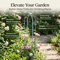 Large Iron Trellis for Climbing Roses, Metal Garden Trellis, European Design Plant Support for Vining Plants