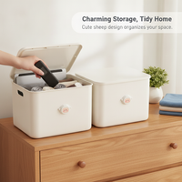 Cartoon Storage Box with Lid for Snacks, Toys, and Sundries