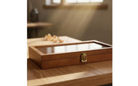 Wooden Box with Clear Lid Metal Latch Closure Wood Box with Glass Top Craft Supply Sleek Polished Finish for Collectors