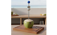 Stainless Steel Coconut Opener Portable Coconut Opening Tool for Fruit Shop