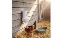 Two Mounting Options Grit and Oyster Shell Feeder Easy Installation Hanging Chicken Feeder Sturdy Construction for Hobby Farmers