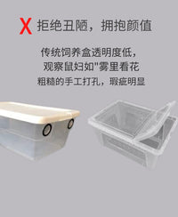 鼠妇饲养盒饲养箱西瓜虫饲养盒鼠妇生态缸鼠妇饲养套餐西瓜虫饲养