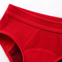 Period Pants for Women and Teenage Girls with Four Layer Protection, Reusable Underwear in Plus Sizes