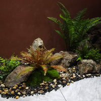 7 Pieces Imitation Rock Lifelike Rock Landscape Ornament Faux Stone Weathered Decor Natural for Indoor Landscaping