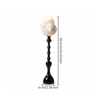 Decorative Sculpture French Vintage Coastal Mollusk Ornament Minimalist Black Stand Modern Shell Statue for Shelf