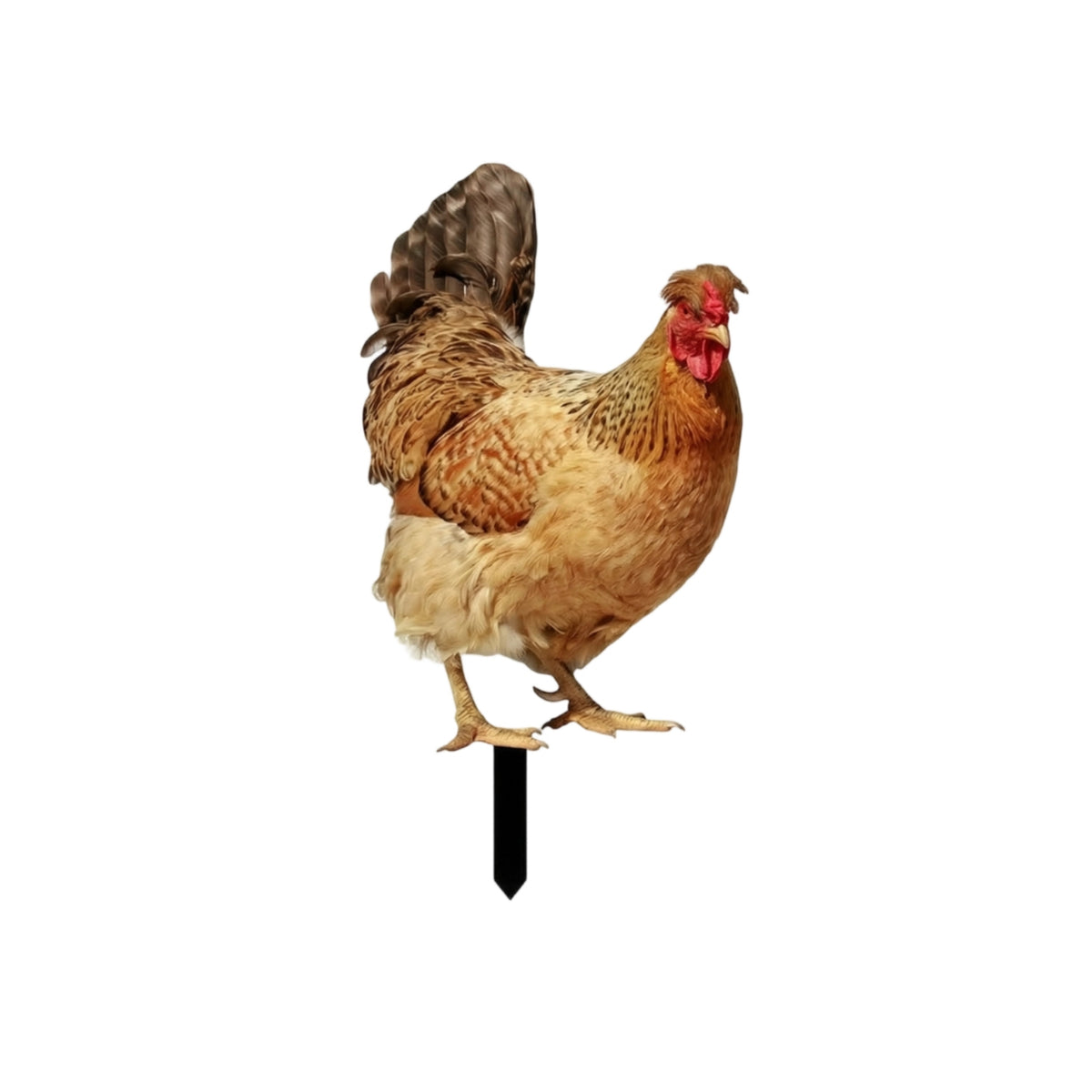 Decorative Chicken Stake with Ground Insert Reusable Chicken Garden Stake Weatherproof Lawn Ornament Sturdy for Flower Bed