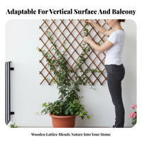 mountable surfaceMountable Expandable Lattice Panel Indoor & exteriordoor Use Expandable woven Trellis Easy Installation Plant assist adaptable for Gardeners, homeowners, DIY hobbyists, Balcony, Patio, Backyard, Fencing