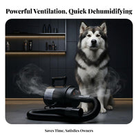Quick Drying Heated Pet Grooming Blower 2400W Engine Pet Grooming Blower with Heater 3 Interchangeable Nozzles Force Air Dog Dryer Even Heating Technology for Large Dogs, Professional Groomers