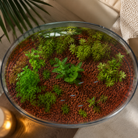 Red Lava Rock 6-9mm 5kg Aquarium Filter Media, For Aquatic Plant Growth, Bacteria Colonization, Aquarium Layout Stone