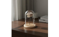 Glass Display Dome Crystal Clear View Transparent Cloche Dome Desktop Display Cover Minimalist Design House Decoration Handmade