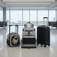 Padded Shoulder Straps Pet Carrier Backpack Ventilated Mesh Pet Carrier Backpack Zippered Top Handles for Travel, Outdoor Use
