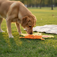 Dog Foraging Mat Slow Feeder Foraging Mat Food Hiding Puzzle Toy